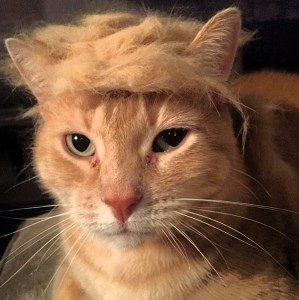 60f02c74-1df9-4c77-a240-4782cf65fbb7-1246-0000038f4957526b_tmp