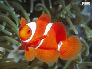 e133dcb5-4656-4eb9-84c1-7319e4321afa-1246-0000039965381bda_tmp