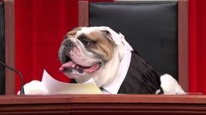 f25f092b-9754-4b9e-9a84-924cd7b10253-1246-000003991f0cdc6a_tmp