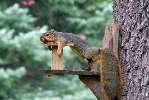 fe405852-a57b-4d84-bd1e-af6d00112e77-1246-0000038900f5c489_tmp